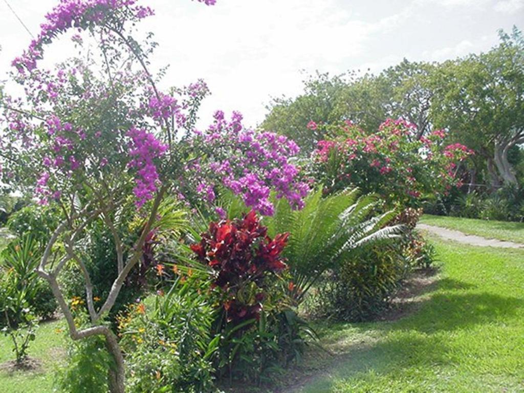 Great Escape And Breakfast Inn Vieques Luaran gambar
